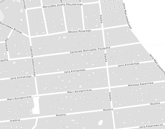 Mapa z adresem organizacji
