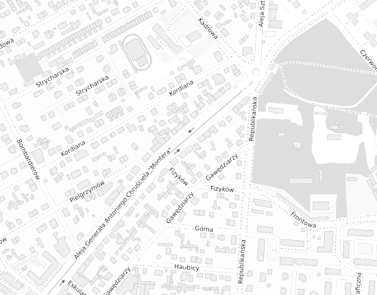 Mapa z adresem organizacji