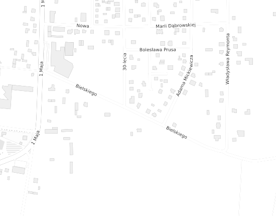 Mapa z adresem organizacji