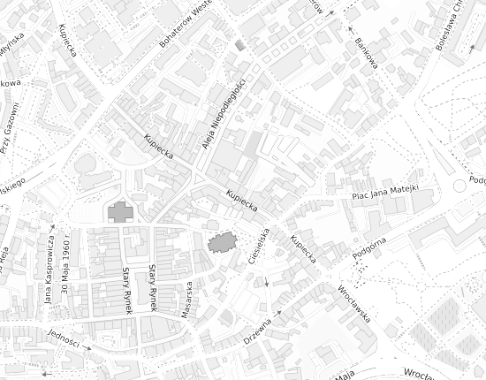 Mapa z adresem organizacji