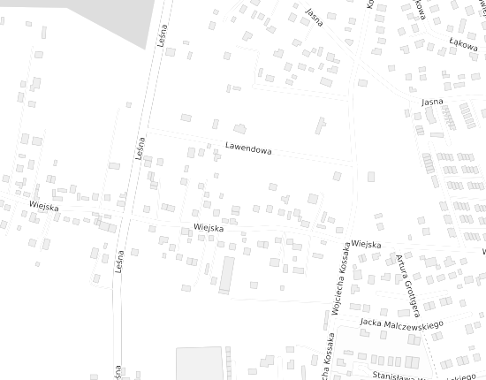 Mapa z adresem organizacji