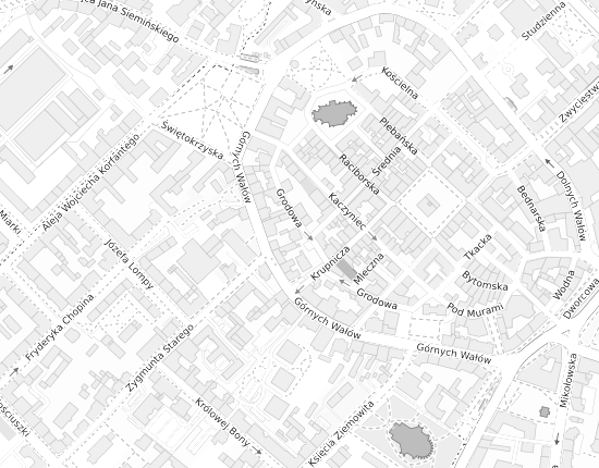 Mapa z adresem organizacji