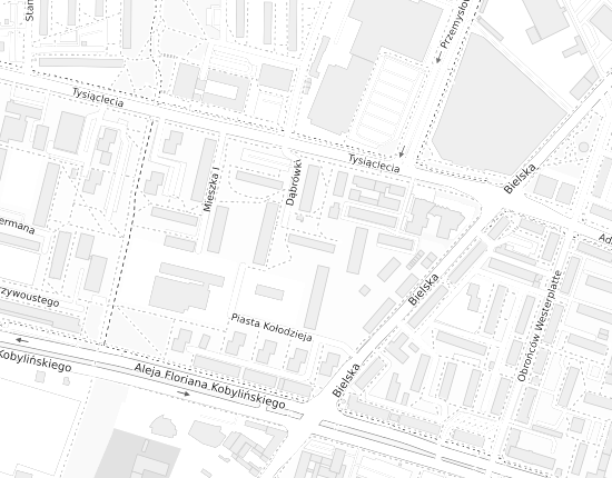 Mapa z adresem organizacji