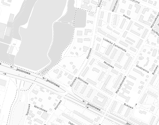 Mapa z adresem organizacji