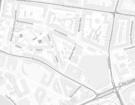 Mapa z adresem organizacji