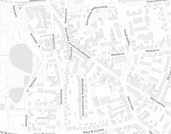 Mapa z adresem organizacji