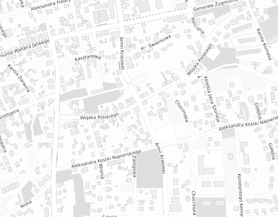 Mapa z adresem organizacji