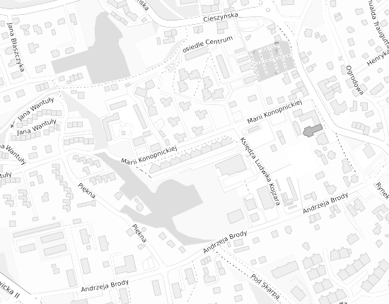 Mapa z adresem organizacji