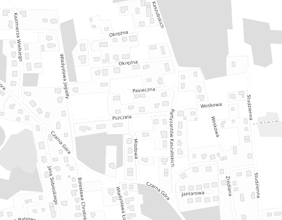 Mapa z adresem organizacji