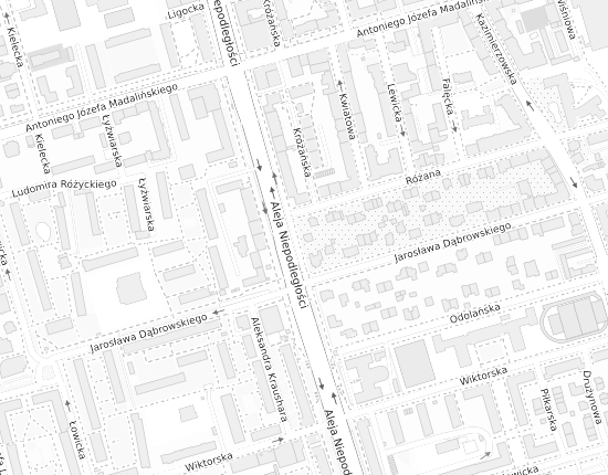 Mapa z adresem organizacji