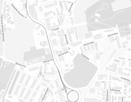 Mapa z adresem organizacji