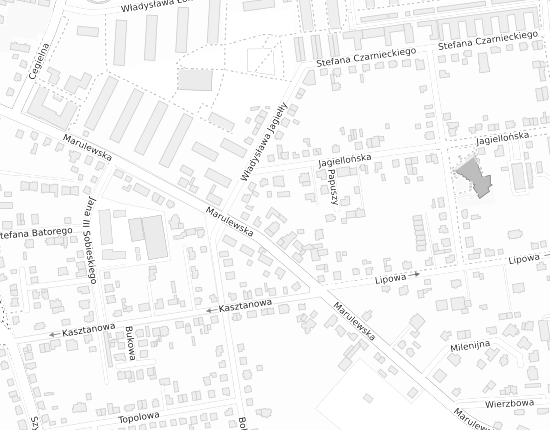 Mapa z adresem organizacji