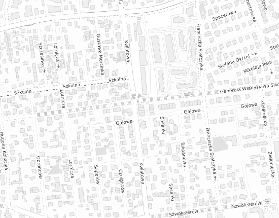 Mapa z adresem organizacji