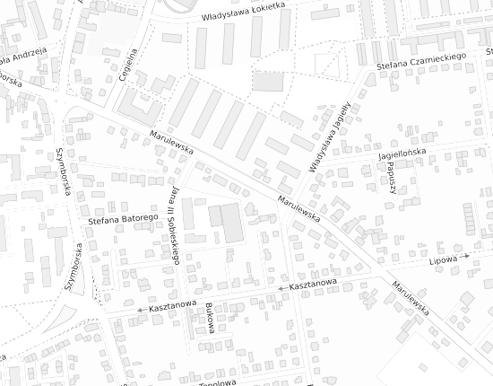 Mapa z adresem organizacji