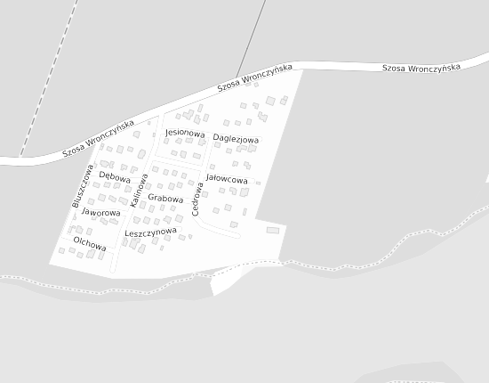 Mapa z adresem organizacji