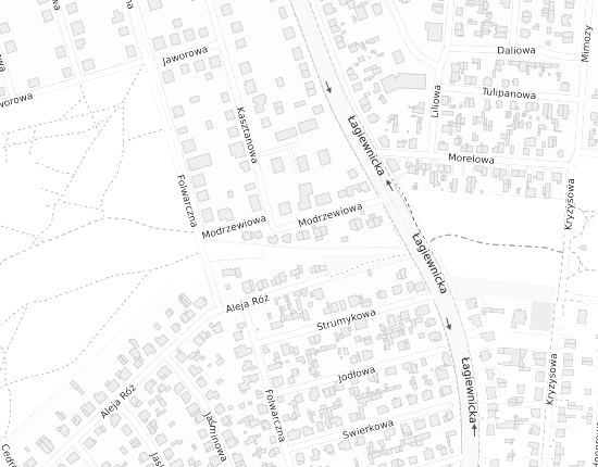 Mapa z adresem organizacji
