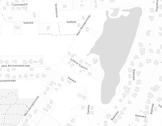 Mapa z adresem organizacji