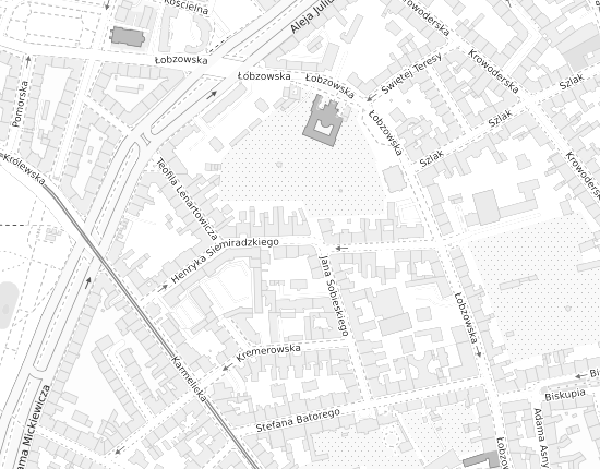 Mapa z adresem organizacji
