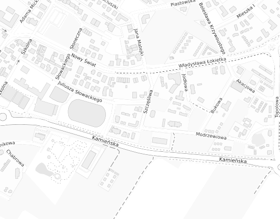 Mapa z adresem organizacji