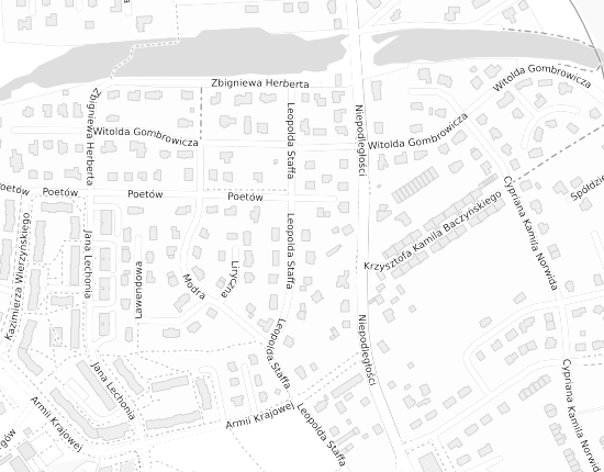 Mapa z adresem organizacji