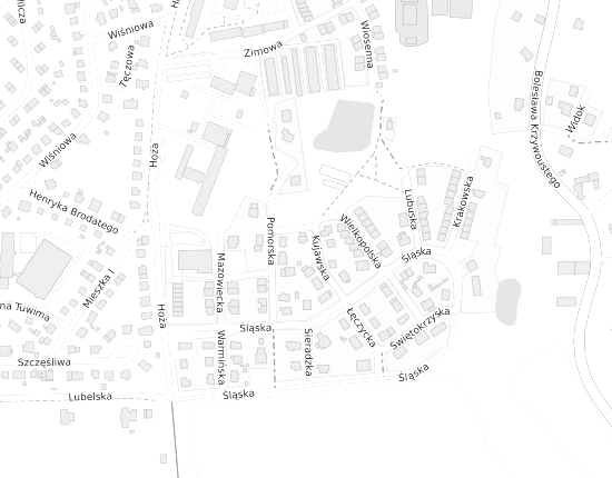 Mapa z adresem organizacji