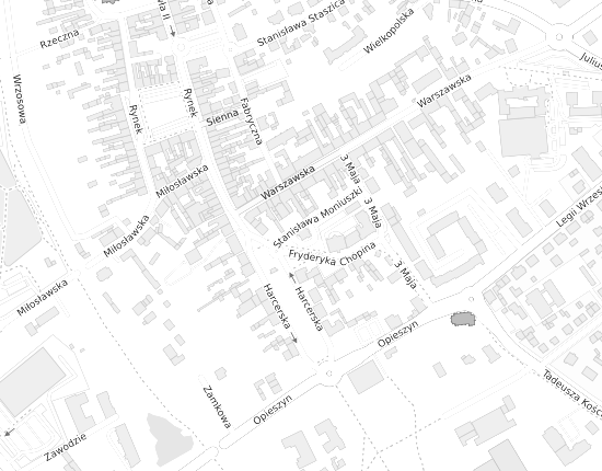 Mapa z adresem organizacji