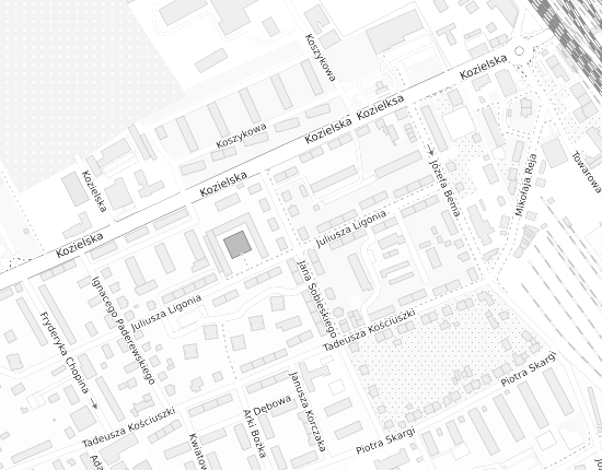 Mapa z adresem organizacji