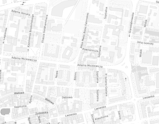 Mapa z adresem organizacji