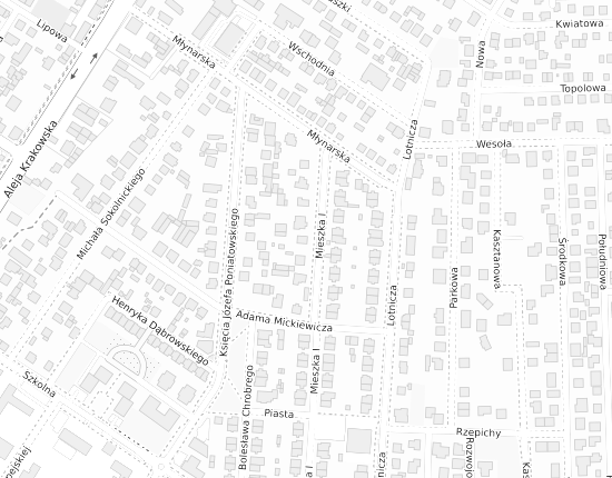 Mapa z adresem organizacji