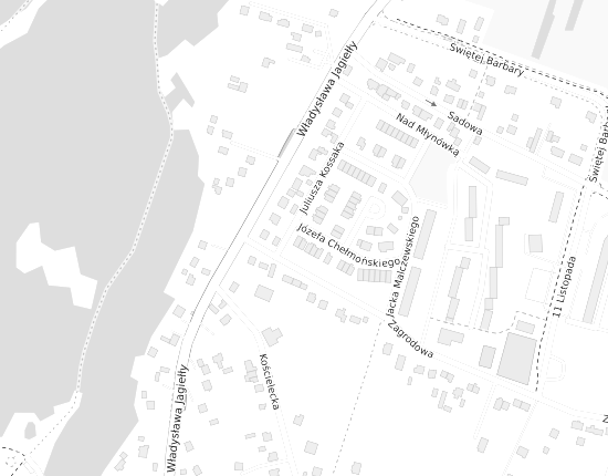Mapa z adresem organizacji