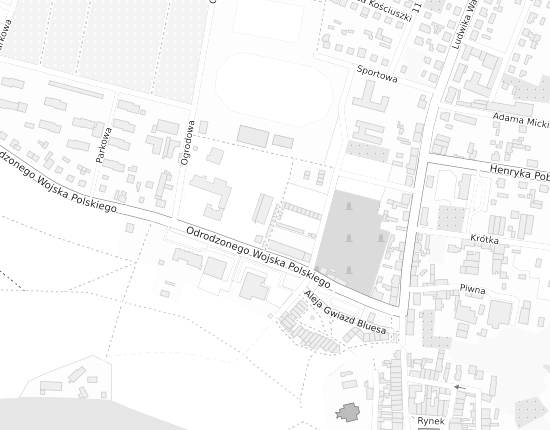 Mapa z adresem organizacji