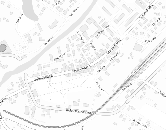 Mapa z adresem organizacji