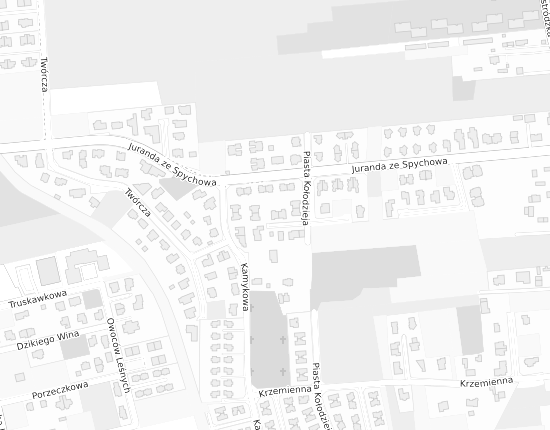 Mapa z adresem organizacji