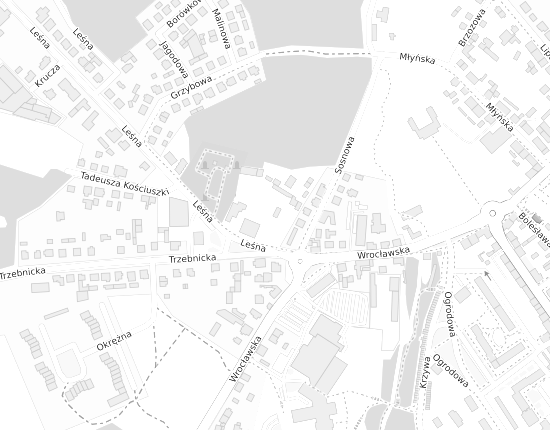 Mapa z adresem organizacji