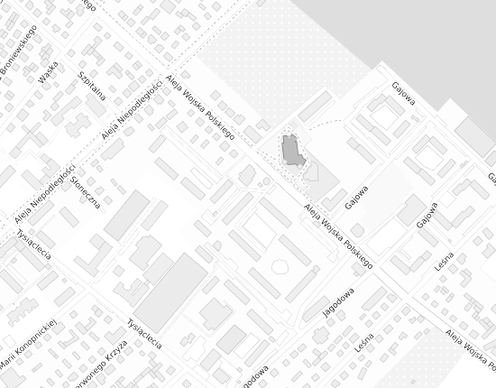 Mapa z adresem organizacji