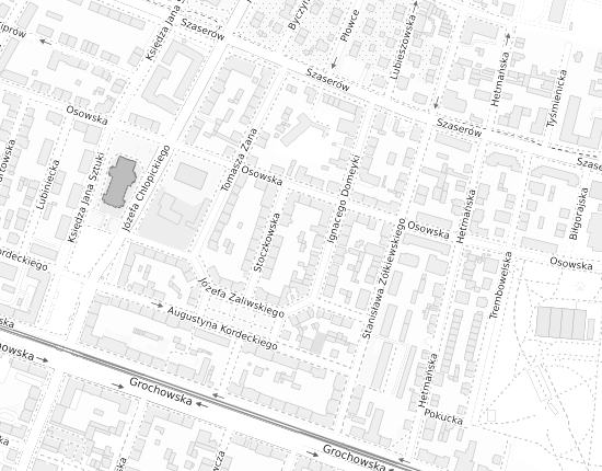 Mapa z adresem organizacji