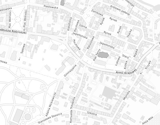 Mapa z adresem organizacji
