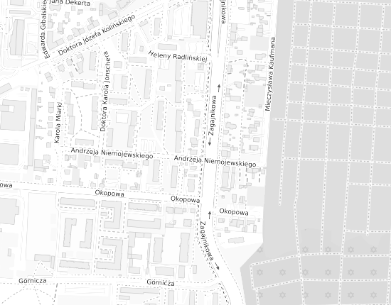 Mapa z adresem organizacji