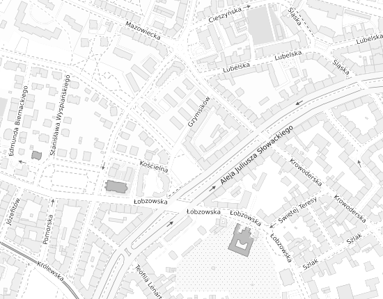 Mapa z adresem organizacji