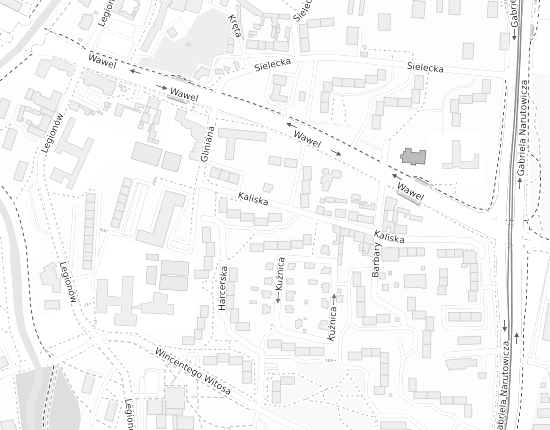 Mapa z adresem organizacji