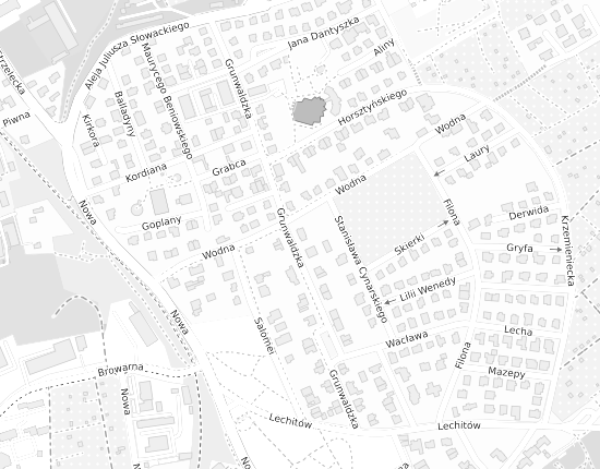 Mapa z adresem organizacji