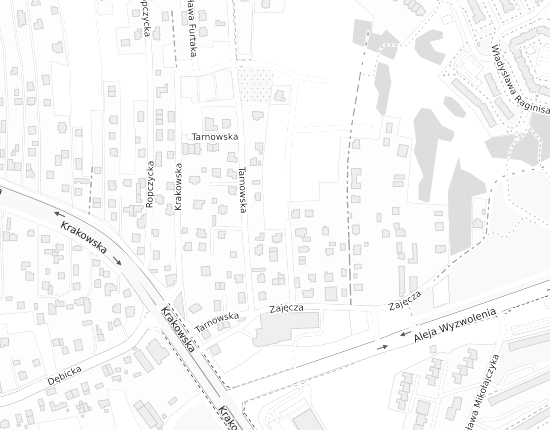 Mapa z adresem organizacji