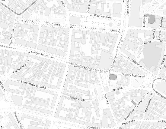 Mapa z adresem organizacji