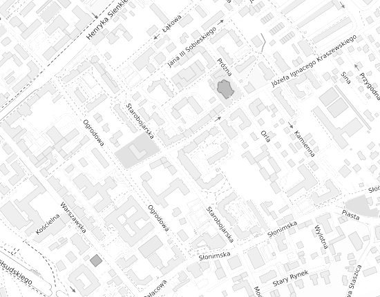 Mapa z adresem organizacji
