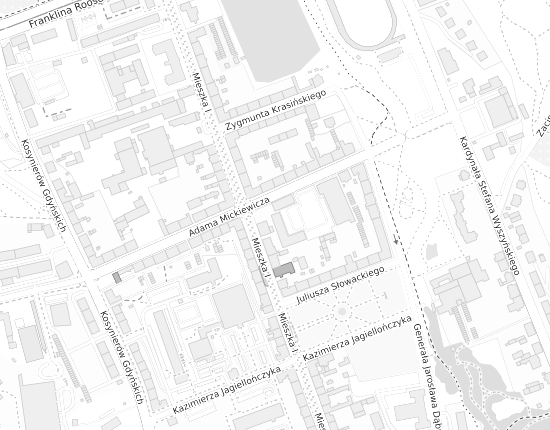 Mapa z adresem organizacji