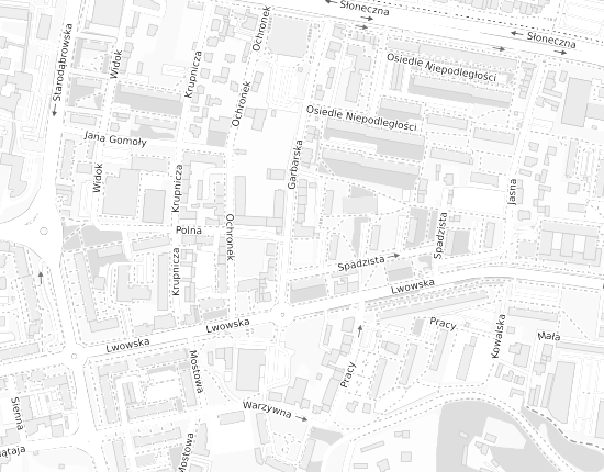Mapa z adresem organizacji