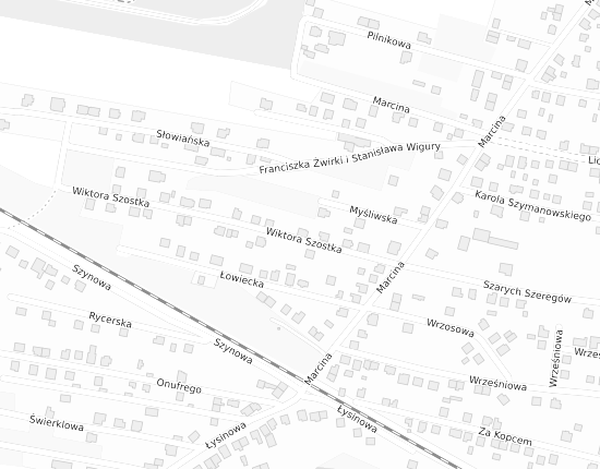 Mapa z adresem organizacji