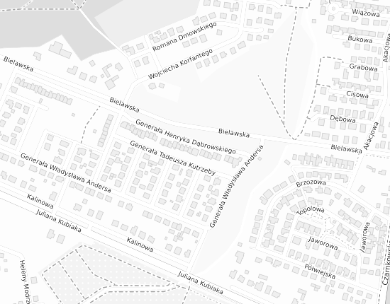 Mapa z adresem organizacji