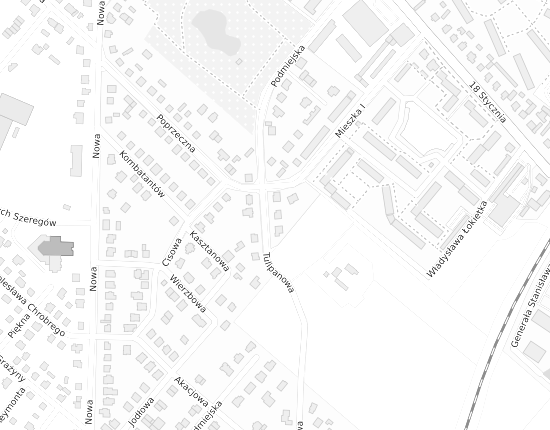 Mapa z adresem organizacji