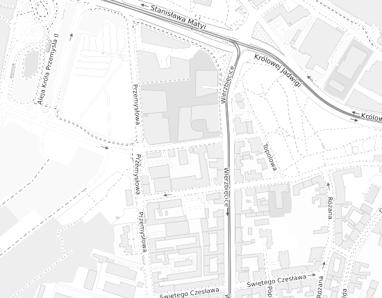 Mapa z adresem organizacji